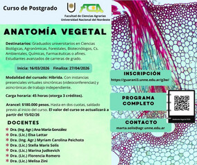 Productos y Servicios