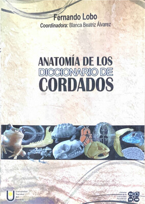 Productos y Servicios