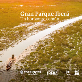 Productos y Servicios